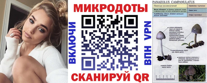 Галлюциногенные грибы мицелий  omg ссылка  Волчанск 